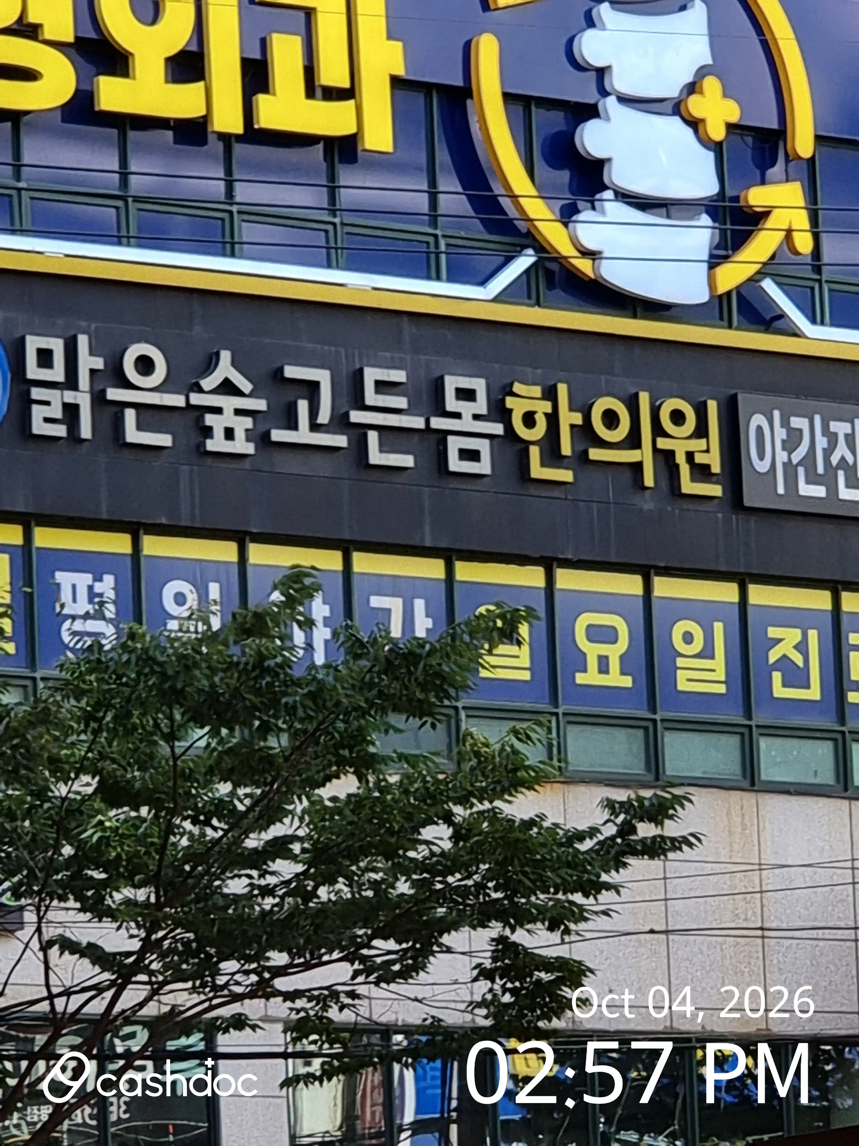 Clear Forest Godeun Body Korean Medicine Clinic 1
