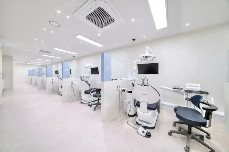 레브치과의원 병원 정보 이미지