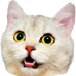 thumbnail model image