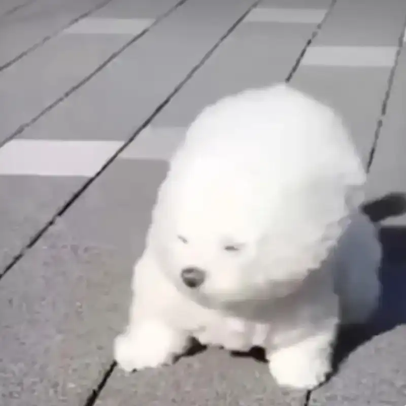 一般活动