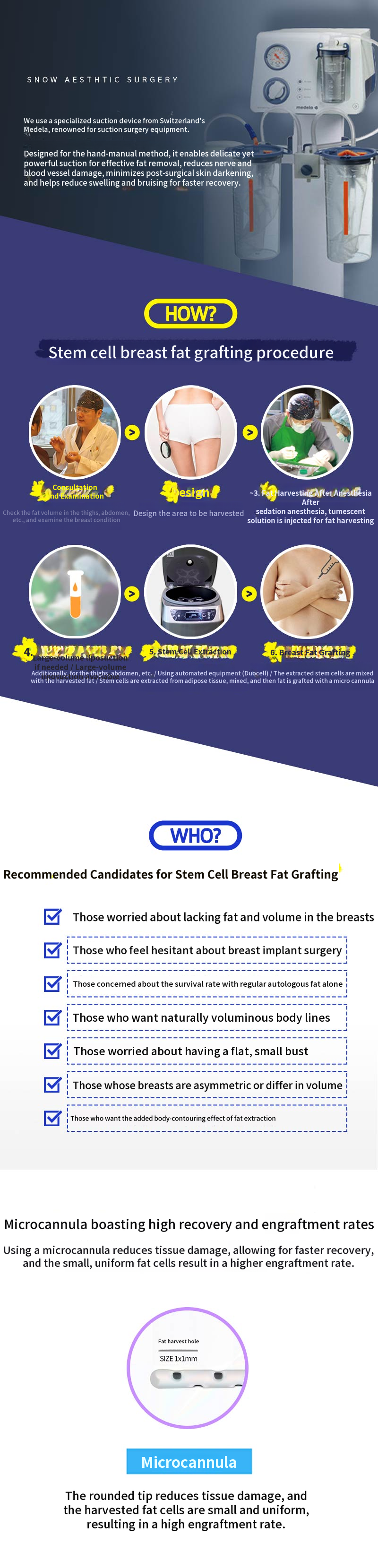 Stem Cell Breast Fat Grafting