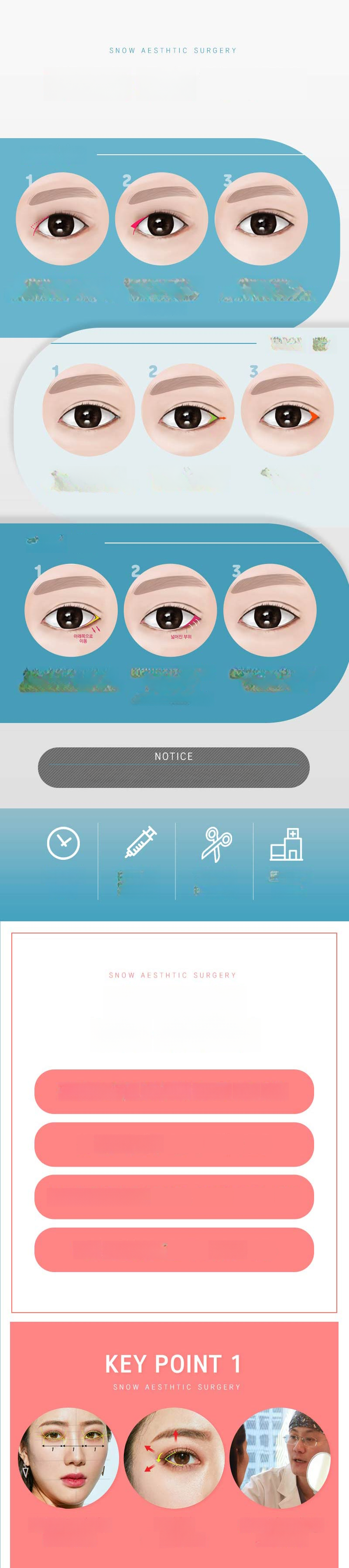 translated base