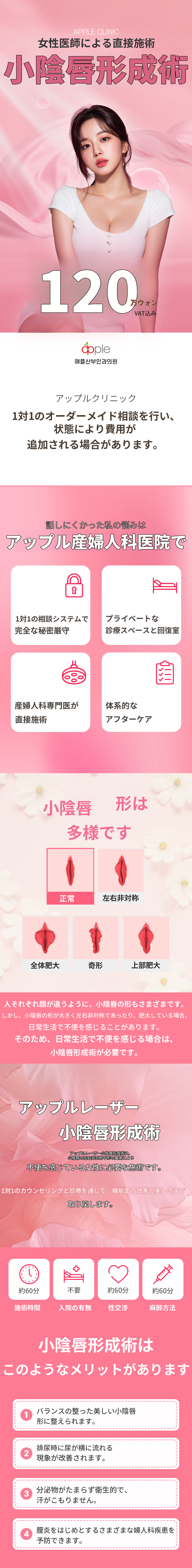 東灘駅 女性医師による小陰唇形成術