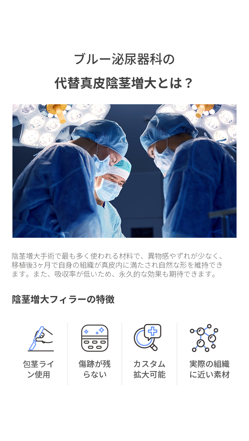 漢南ミサ) 代替真皮拡大手術 EVENT