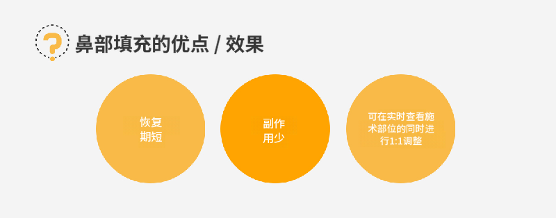 鼻填充剂