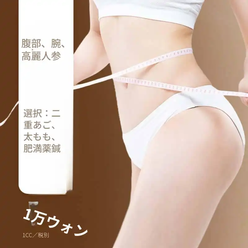 サンサム肥満薬浸透（脂肪分解）