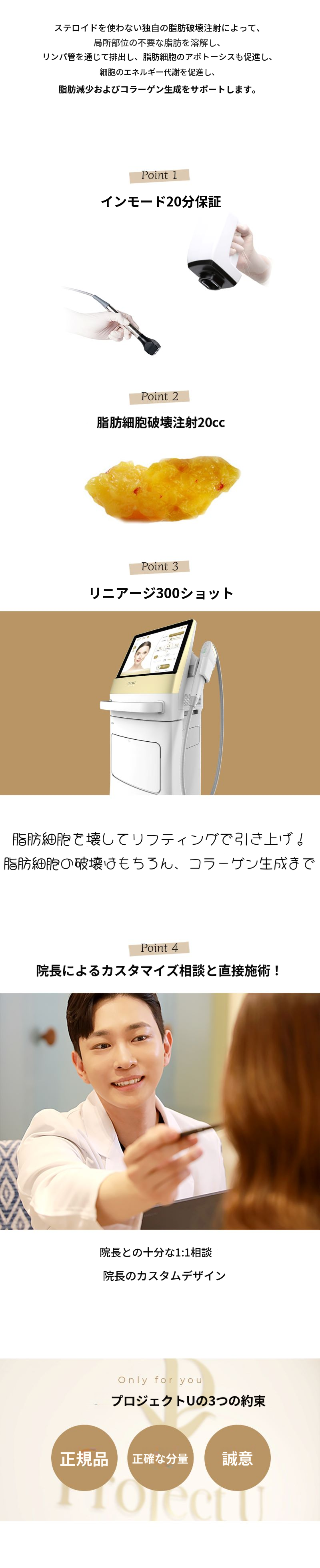 🫠シグネチャー脂肪破壊⏰時間保証⏰💉