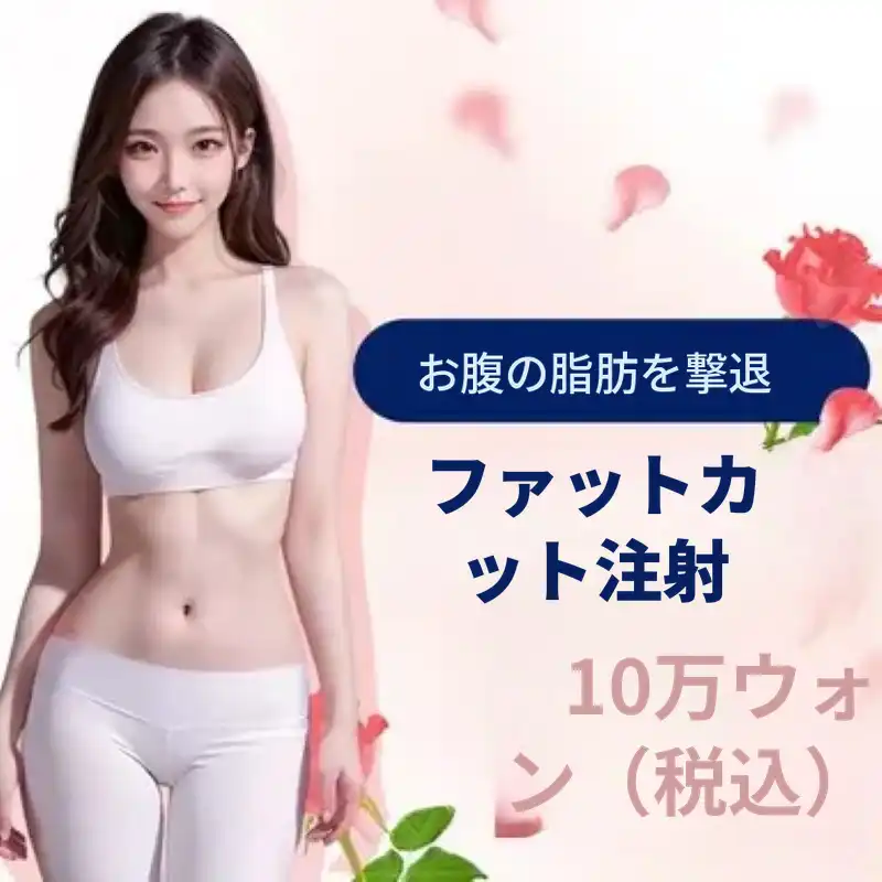 腹部脂肪をすっきりさせるファットカット