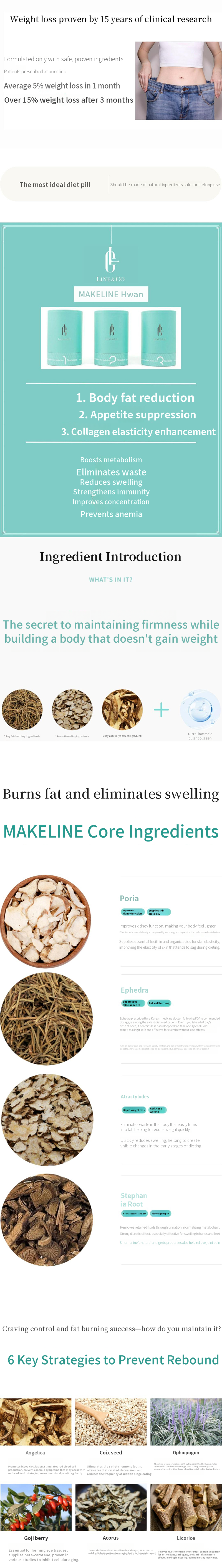 Diet Herbal Medicine for Lifetime Maintenance without Side Effects