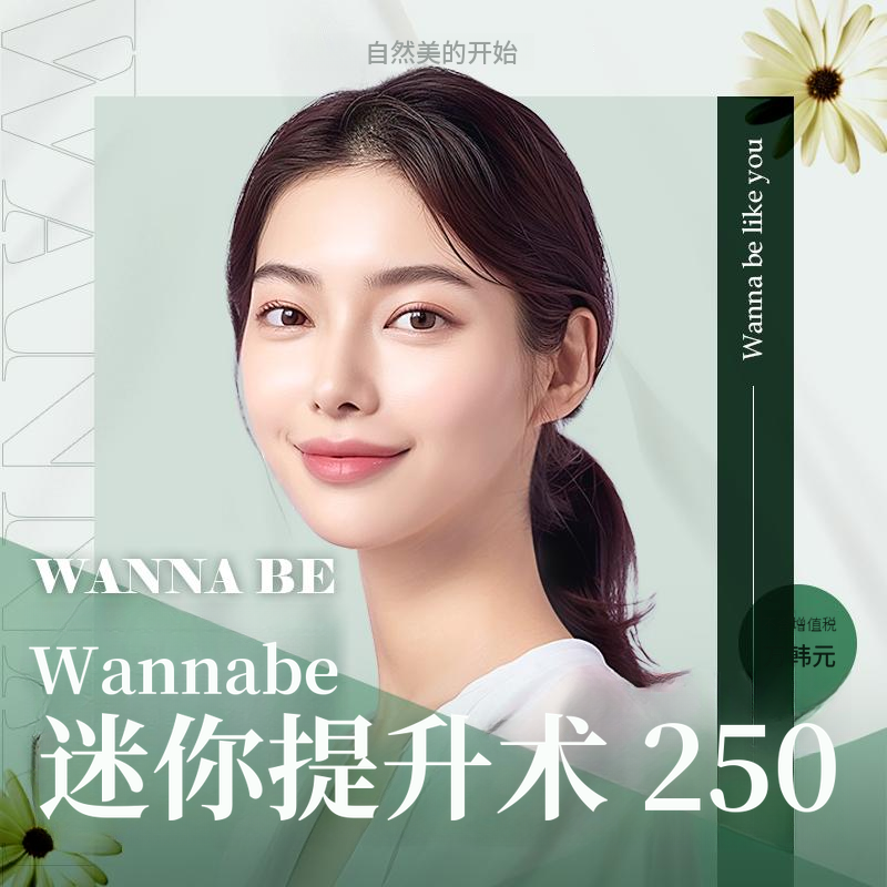 梦想中的迷你提升