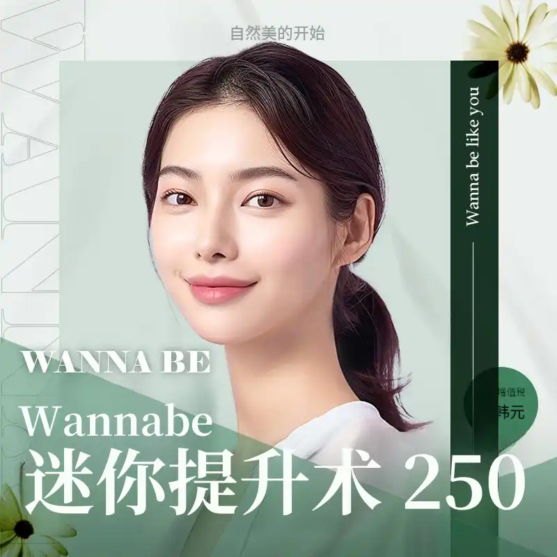 梦想中的迷你提升