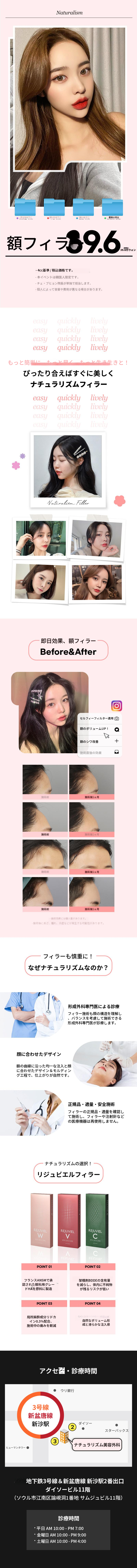 自然主義額フィラー
