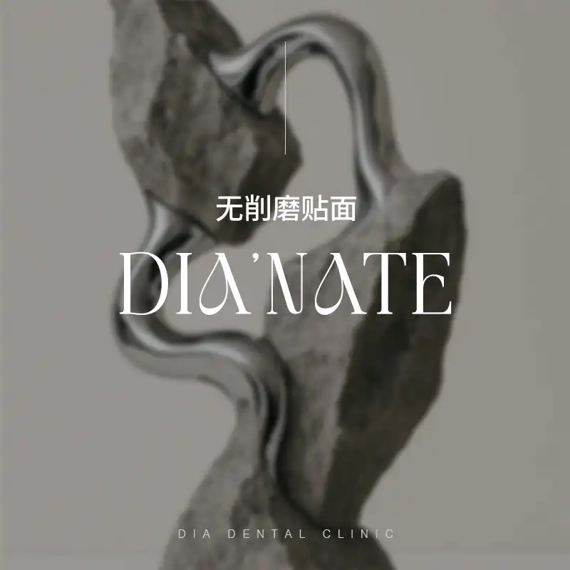无削除树脂贴面，迪亚贴面