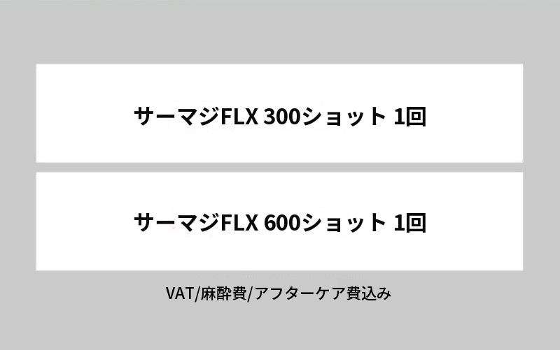 正規品チップ＆目の前でオープンするサーマジFLX