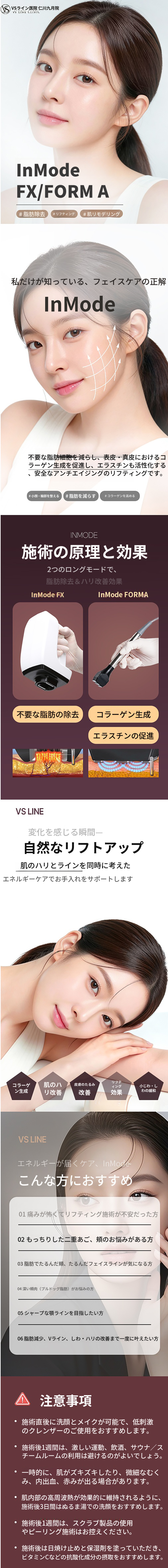 インモード フルフェイス ダブルパワー FX+FOR