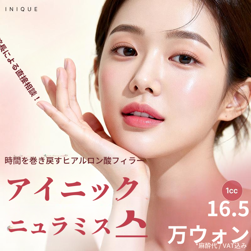 アイニーク ニュラミス