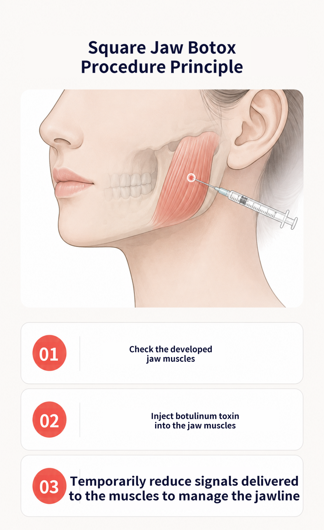 Dongseongno Masseter Botox Special Offer