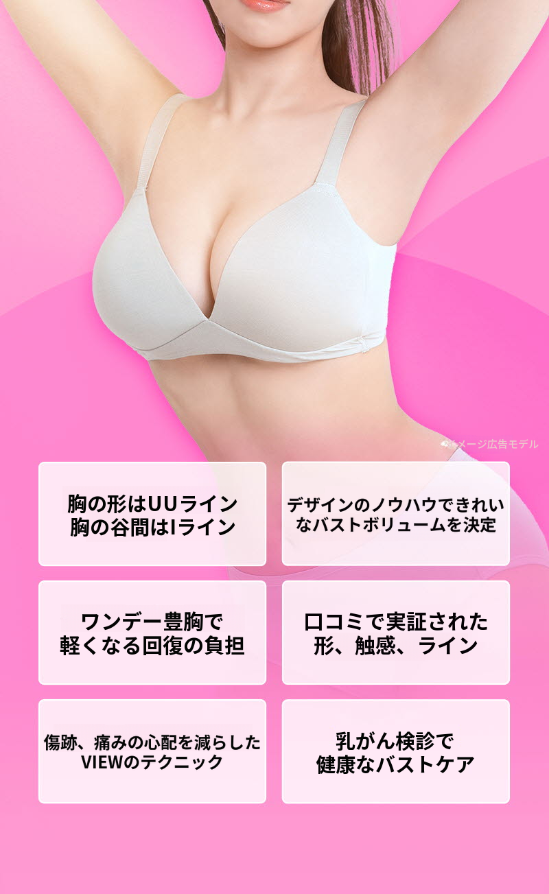 ❤️ビュー❤️UIU 胸の整形 240