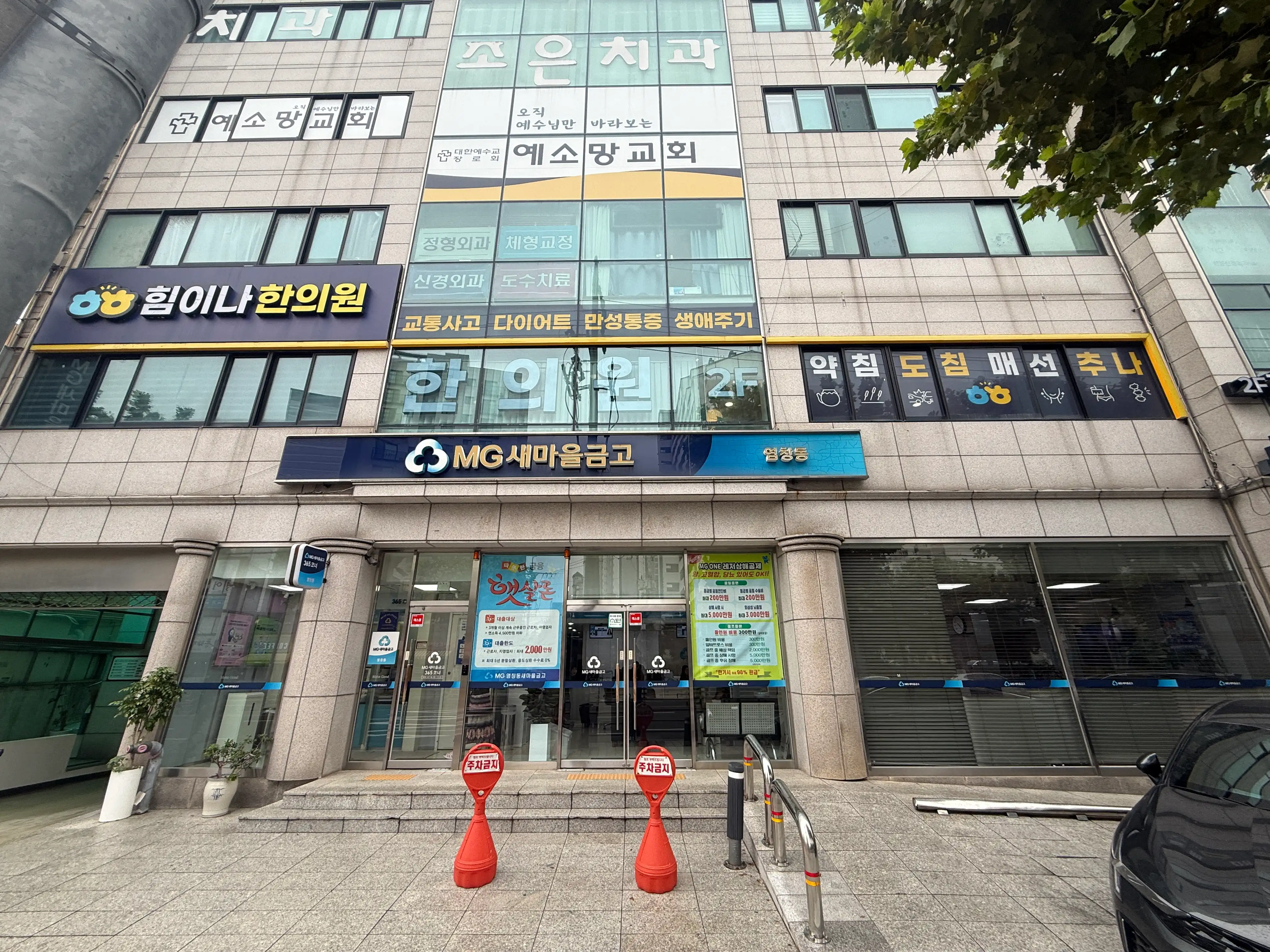 Himina Korean Medicine Clinic 1