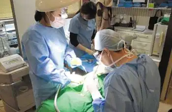 Seoul Yeou Dentistry 2