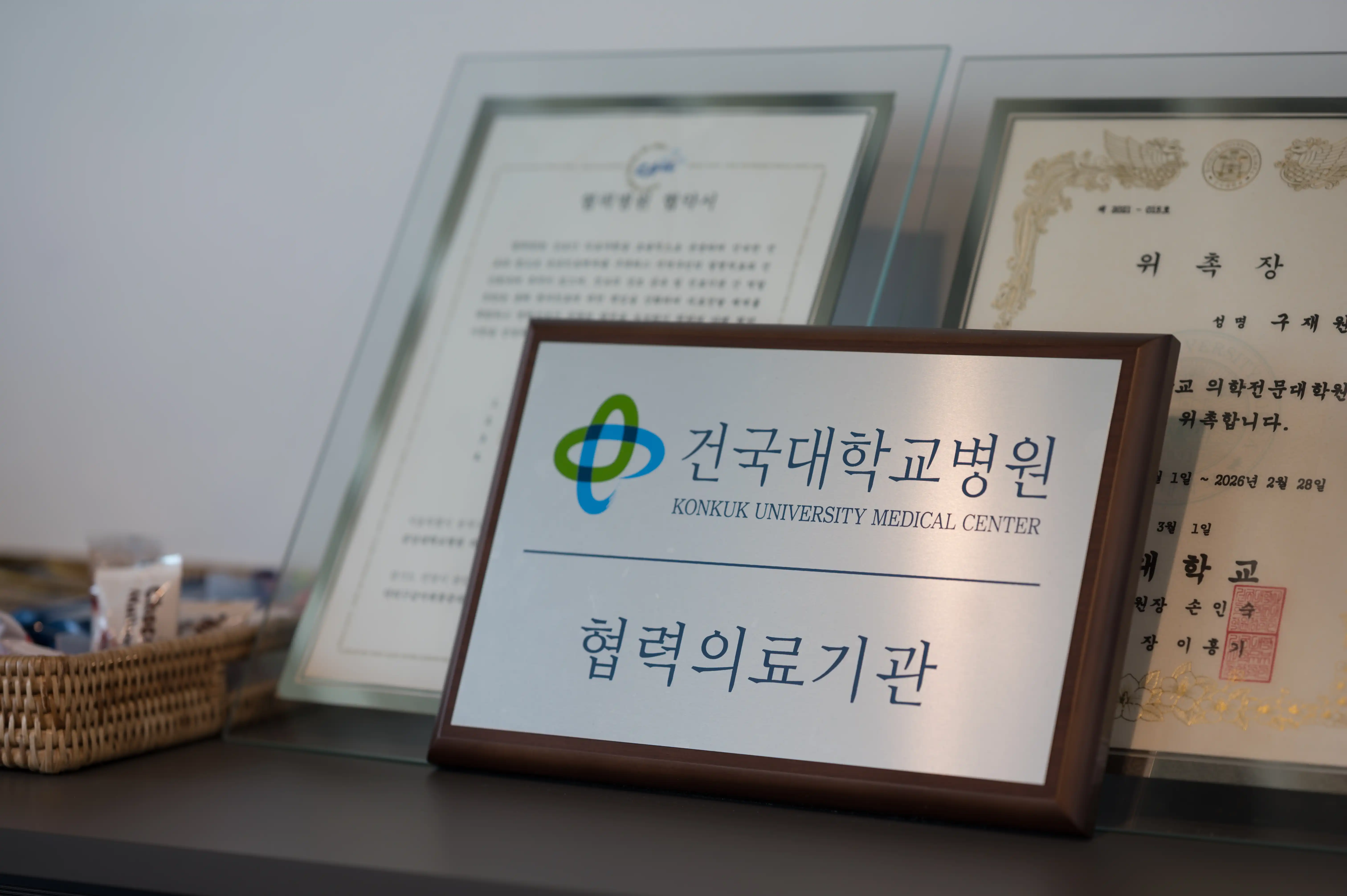 Doctor Google Anesthesia and Pain Medicine Clinic 2