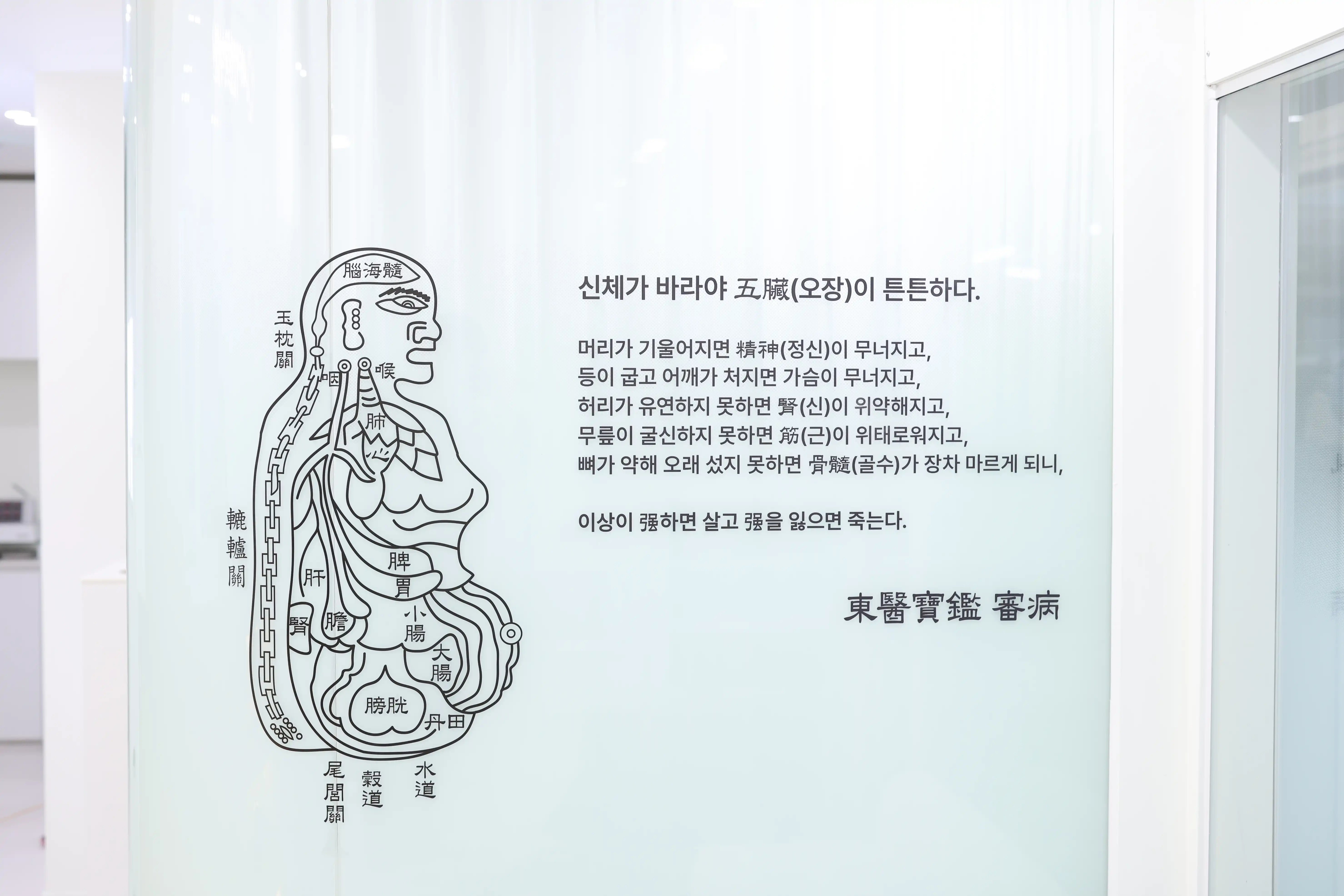 Four Seasons Korean Medicine Clinic 3