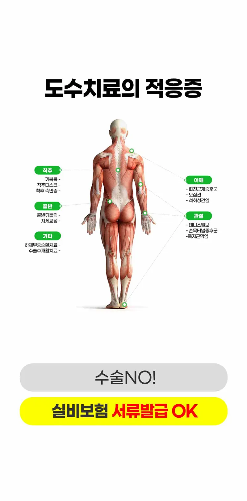 본라인의원 통증의 원인을 개선해주는 도수치료 이벤트, 시술 상세 이미지