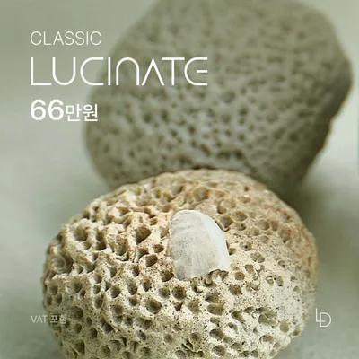 루시네이트 클래식 이벤트 썸네일 이미지