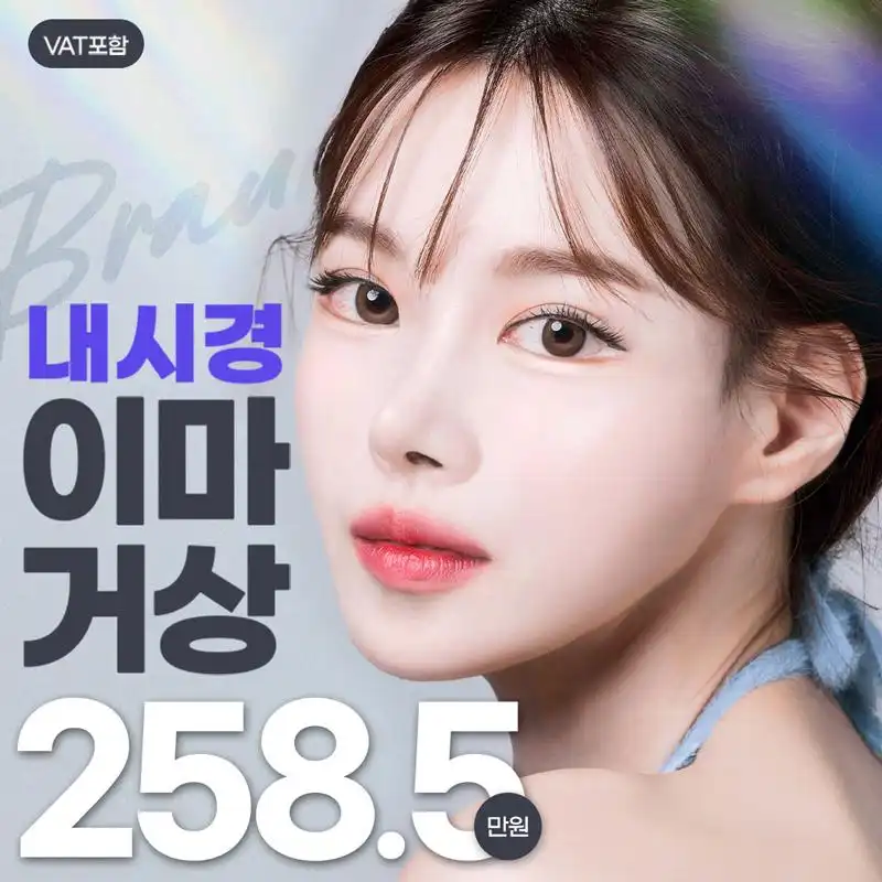 브라운 내시경이마거상