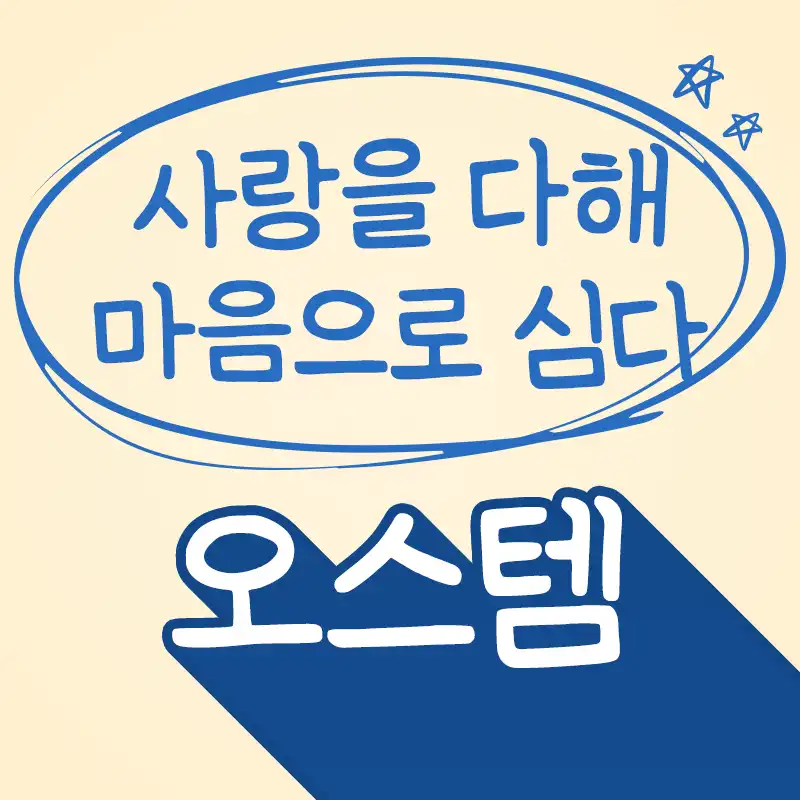 오스템 임플란트 정성으로 당일 식립