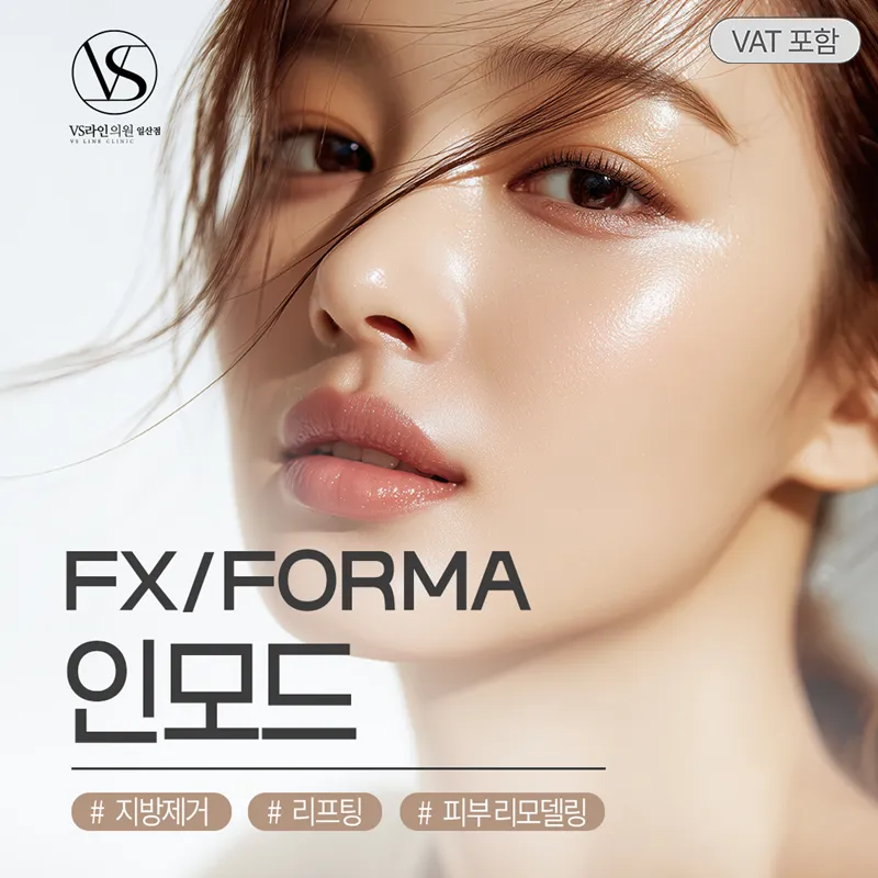 커스텀 인모드 FX+FORMA 얼굴전체