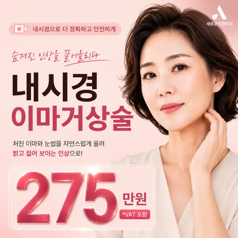 [새로운] 내시경이마거상술
