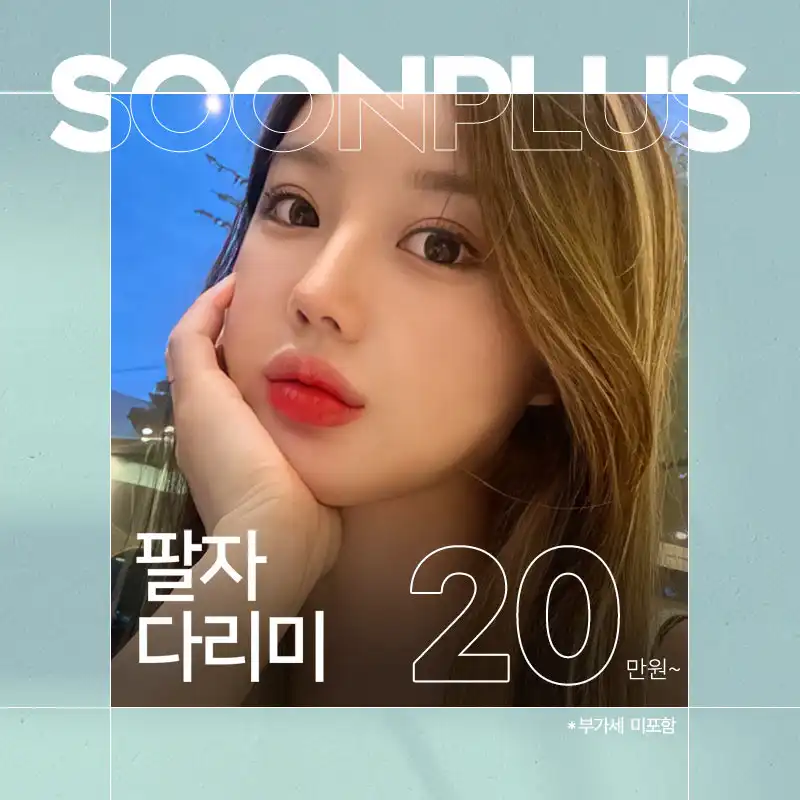 순플러스 팔자다리미
