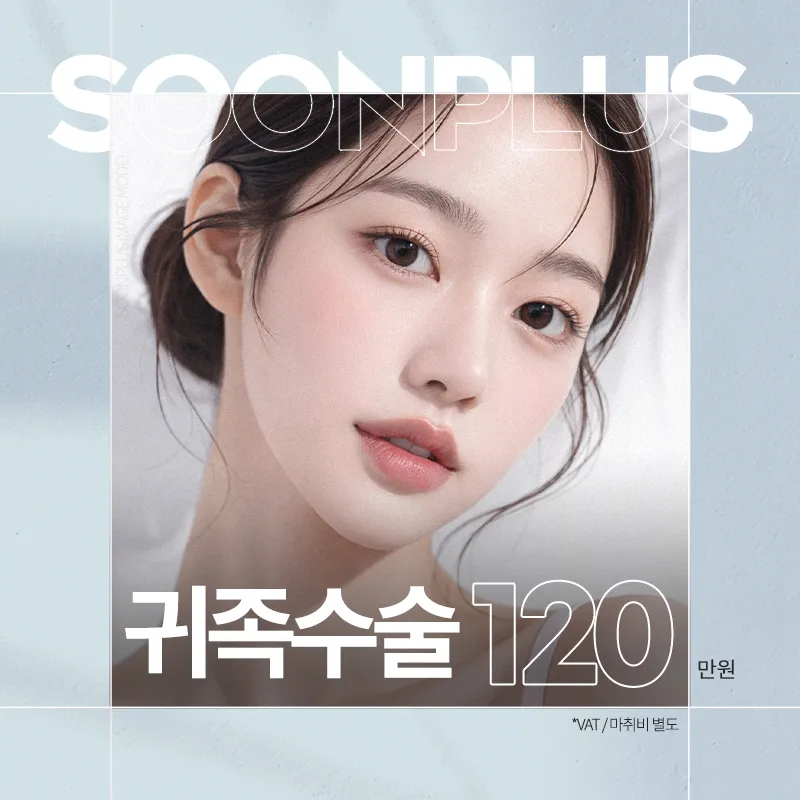 순플러스 귀족수술