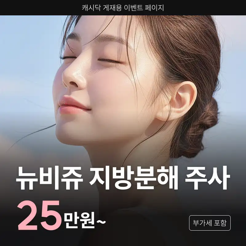 뉴비쥬 지방분해 주사