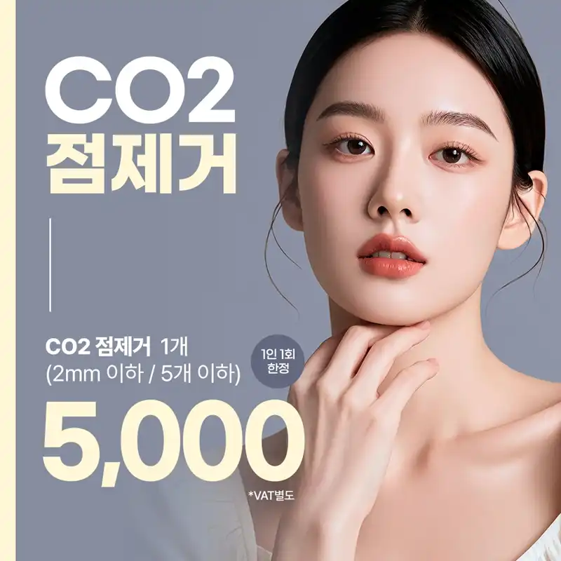 수원 CO2 점제거